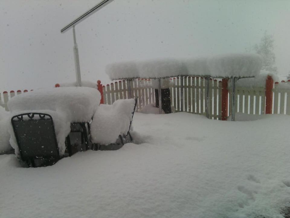 Maria'S Sonnenquartier Hotel Wagrain Kültér fotó